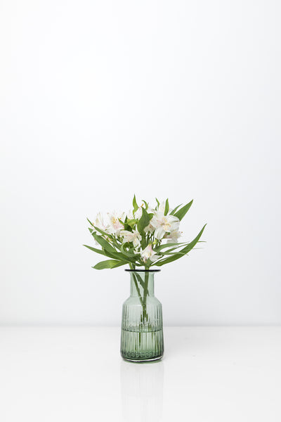 Thyme Glass Vases