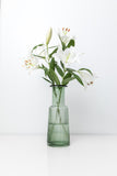 Thyme Glass Vases