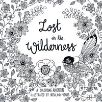 Lost in the Wilderness by Rosalind Monks